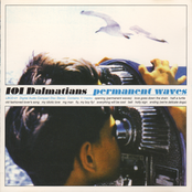 Permanent Waves
