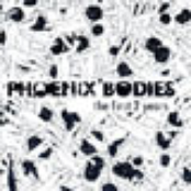 Fix Me by Phoenix Bodies