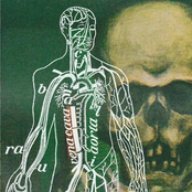 The Weekdays of an Electronic Man