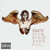 Slow Your Horse Down, Son