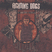 Dust Storms by Fighting Dogs