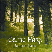 Celtic Harp