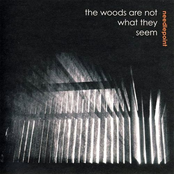 The Woods Are Not What They Se