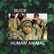 human animal