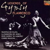 Legends Of Gypsy Flamenco