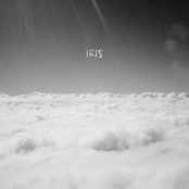 Chris Lanzon: Iris
