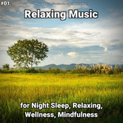 #01 Relaxing Music for Night Sleep, Relaxing, Wellness, Mindfulness