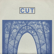 Cut