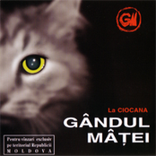 La Ciocana
