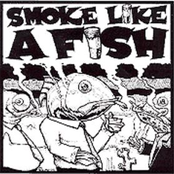 Blind by Smoke Like A Fish