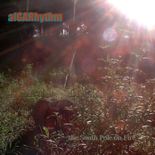 The South Pole On Fire