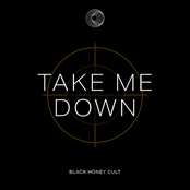 Take Me Down