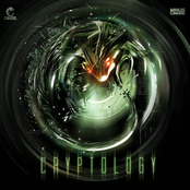 Cryptology WEB