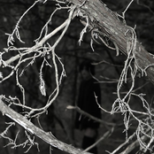 I Won't Live to Tell You What I Know