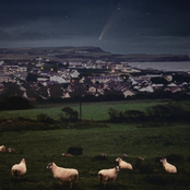 Oat Wheat Barley Rye