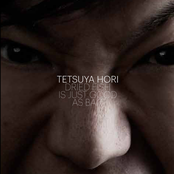 Dried Fish Is Just Good As Bait