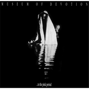 ...to the Pink Period (Remastered)