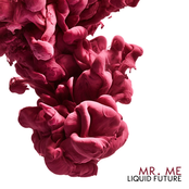 Liquid Future (Original Mix)