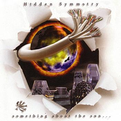 On The Never by Hidden Symmetry