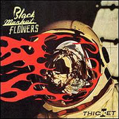 New Number One by Black Market Flowers