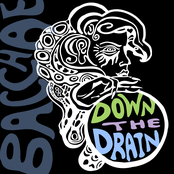 Bacchae: Down the Drain