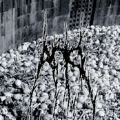 My Throne of Disease Made From the Rotting Flesh of Those Who Befell My Plagues