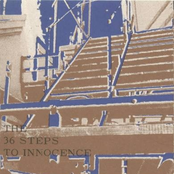 The 36 Steps To Innocence