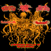 Grotesque Display of Mutilations