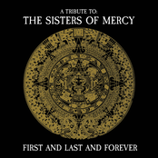 First And Last And Forever - A Tribute To The Sisters Of Mercy