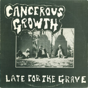 Late For The Grave LP