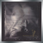 Heavenly Voices Vol. 3