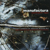 Some Where Made For Fucking by Manufactura