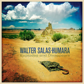 Walter Salas-Humara: Explodes and Disappears