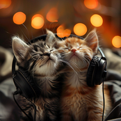 Night Purr Melodies: Soothing Sounds for Cats