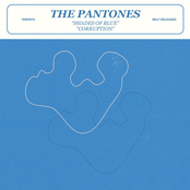 Shades of Blue/Corruption