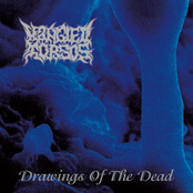 Drawings of the Dead