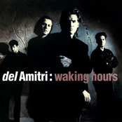 Del Amitri: Waking Hours