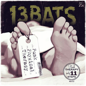 Test by 13 Bats