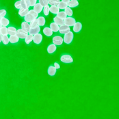 Sketches for the Loops of Time