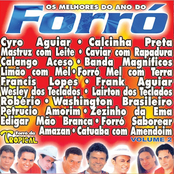 Os Melhores do Ano do Forró, Vol. 2