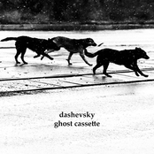 dashevsky