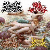 Convulsing In Orgasmic Disgust