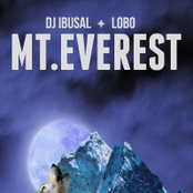 Mt. Everest