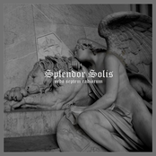 Ordo Septem Radiorum