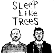 sleep like trees