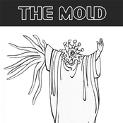 the mold