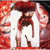 Forensic Horror Demo