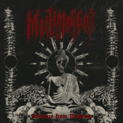 Guidance From Madness