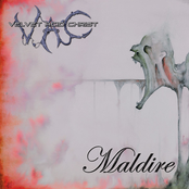 Maldire by Velvet Acid Christ