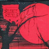 Through Gnarled Woods and Glowing Haze..